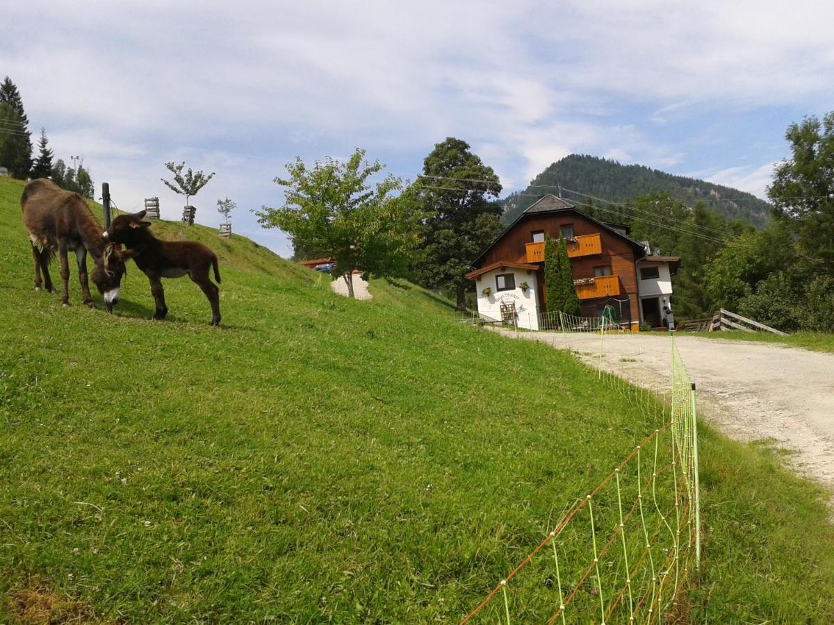 Stallhaeusl Schladming Eksteriør billede