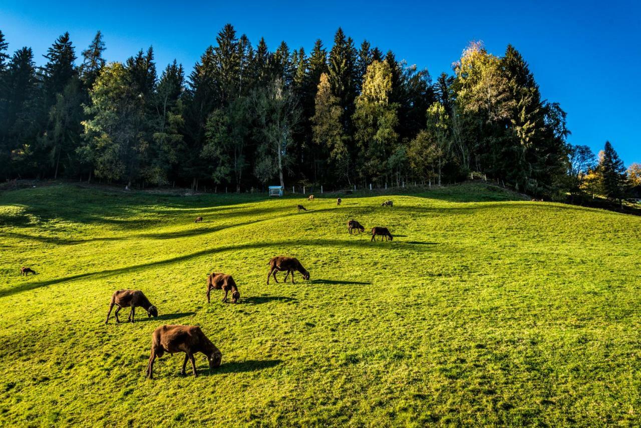 Stallhaeusl Schladming Eksteriør billede